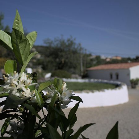 Cosy Farmhouse Quinta Da Eira 140 Years Old Loulé Eksteriør bilde